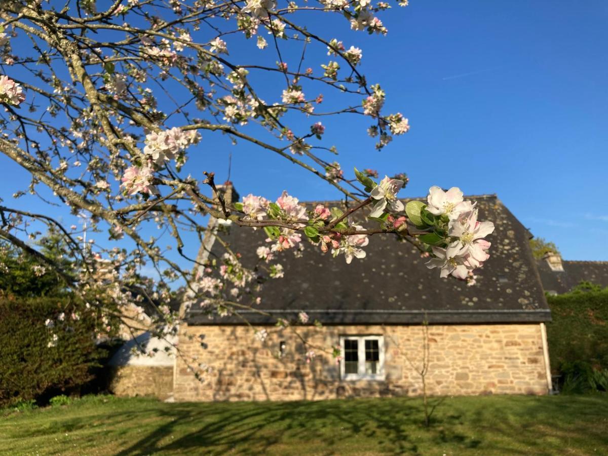 Le Clos De Kermadec ケルヴィニャック エクステリア 写真